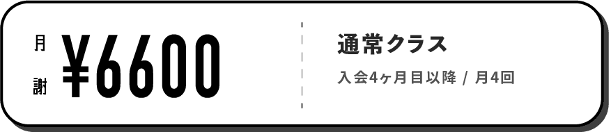 Hero Section